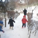 하도 조은 이미지