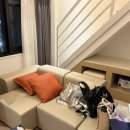 브라운도트(갓바위점) 이미지