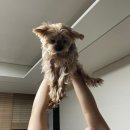 새현대세탁소 이미지