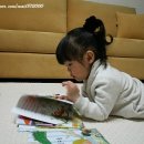 카페트 스튜디오 Daum카페