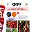 신비너스 이미지