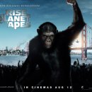 Planet of the Apes 이미지