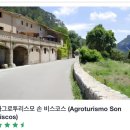 한국아그로 | 마요르카 신혼여행 숙소 댕 만족 아그로투리스모 손 비스코스