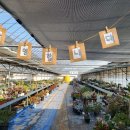 12월12일 <b>남양</b>다육이