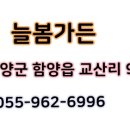 늘봄가든 이미지