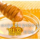 꿀과 계피가루의 효능 이미지