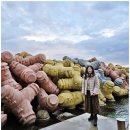 사근진해변 해중공원 | 강릉 사근진 해변 무지개방파제와 해중공원전망대