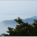 마이산농장 이미지