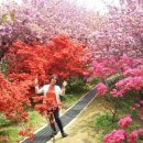 여자경로당 이미지