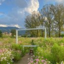 청주목장 이미지