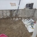 국화우성 이미지