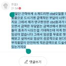 카페 공유 Daum카페