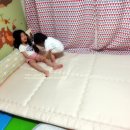 나라데코 요토퍼 아이보리 솔직 구매 후기