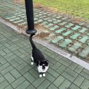 세한대학교 | 한능검 75회 세한대학교 당진캠퍼스 후기 / 주차 너무 빡셈