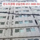 하단동1006 이미지