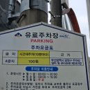블루닷 라운지 구서점 이용 후기 - 추천할만?!