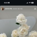 디어마이로지플라워