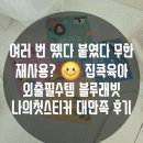 동물친구들 | 유아스티커북 추천: 블루래빗 오감발달 나의 첫 스티커 바다동물 & 동물친구들 실리콘 스티커 팩트 후기