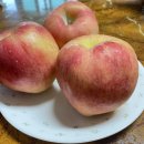 보일농수산 이미지