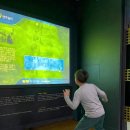 전통문화콘텐츠박물관 | 안동 아이와 실내 가볼만한 곳, 전통문화콘텐츠박물관 &amp; 산숲가든 나들이 추천