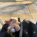 금천한방병원 | 창고형 약국 금천 홈플 메가팩토리 서울점 방문 후기 | 동대문 약국이랑 비교, 상세가격