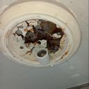 한신전기 이미지