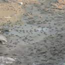 파주착한펜션 이미지