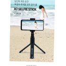 셀피스