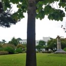 안국역 엘리베이터 이미지