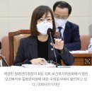 “말투가 그게 뭐냐”···백경란 질병청장 ‘유체이탈 화법’에 여당도 포기[국감 2022] 이미지