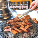 제주많은다홍 | 송도맛집 제주돼지 인증점 제주도그릴 애견동반 가능한 고기집
