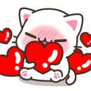 테크노카랜드 이미지