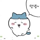 삼촌네 포차 | [송파구] 가락시장 문정역 찜닭 술집 맛집_삼촌네포차