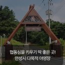 안성시 다목적 야영장 매점 | [경기도 청소년 수련회 장소] 협동심을 키우기 딱 좋은 곳! 안성시 다목적 야영장