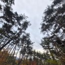 둘레길관광농원 | 밀양장박캠핑장)가족들이랑 밀양캠프밸리관광농원으로 놀러 다녀왔어요!~