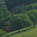 원동목장 이미지