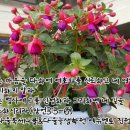 다울에듀 이미지