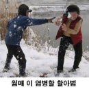 동심 Daum카페