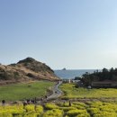 사계남로216번길 이미지