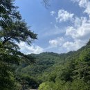 오색커피카페치킨 | 강원도 양양 오색약수 주변 카페 몬트커피 방문후기