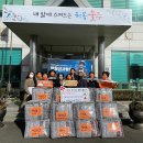 포그니이불 이미지