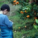 해종농장 이미지