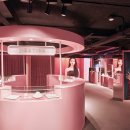 제이에스티나 카카오 검색결과