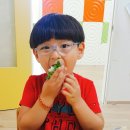 하기오스어학원 Daum카페