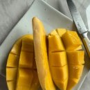 백작농산 네이버블로그