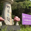 뜨락의아침 이미지