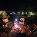 그린필로우 이미지