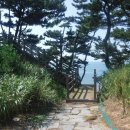 장고도2 이미지