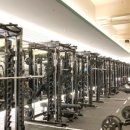 머슬팩토리 이미지