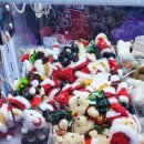 면목동-122 | 인형뽑기 산타곰인형 키링 뽑기!-오늘또뽑기 재방문 122탄 -중랑역 근처 인형뽑기 중랑 동부시장 인형...